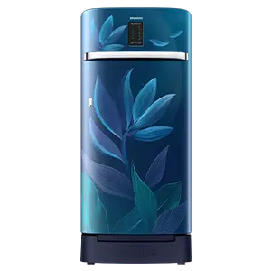 Samsung Samsung 198L Digi-Touch Cool™ Single Door Refrigerator RR21A2F2X9U