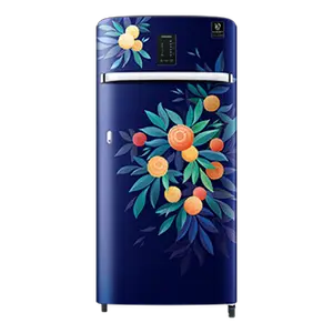 Samsung 189L Digi-Touch Cool™ Single Door Refrigerator RR21C2E25NK Orange Blossom Blue