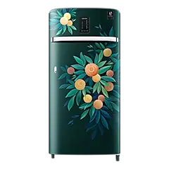 Samsung 189L Digi-Touch Cool™ Single Door Refrigerator RR21C2E25NL price in India.