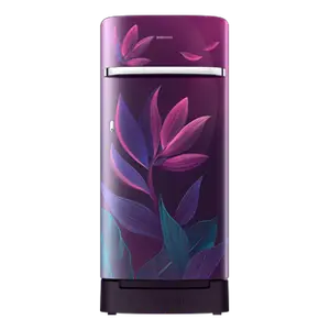 Samsung 189 L Horizontal Curve Design Single Door Refrigerator RR21D2H259R Purple