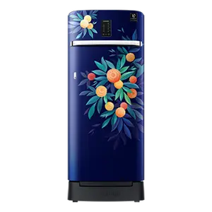 Samsung 215L Digi-Touch Cool™ Single Door Refrigerator RR23C2F24NK Orange Blossom Blue