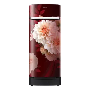 Samsung RR23H2H34BR, Single Door Refrigerator with Horizontal Curve Design 215 L Begonia Red