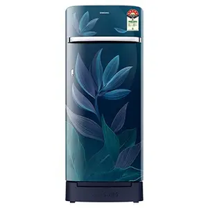 Samsung RR23H2H359U, Single Door Refrigerator with Horizontal Curve Design 215 L Paradise Bloom Blue