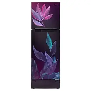 Samsung Samsung 236L Base Stand Drawer Double Door Refrigerator RT28C31429R