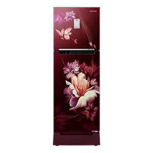 Samsung 224L Curd Maestro™ Double Door Refrigerator RT28C3C32RZ Midnight Blossom Red