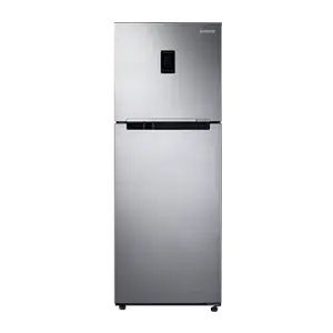 Samsung 301 L Twin Cooling Plus™ Double Door Refrigerator RT34C4523S9 Refined Inox