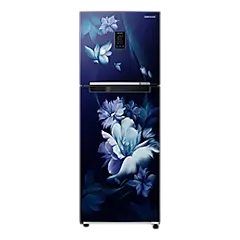 Samsung 291L Curd Maestro Double Door Refrigerator RT34C4622UZ Buy 291L Double Door Fridge RT34C4622UZ 