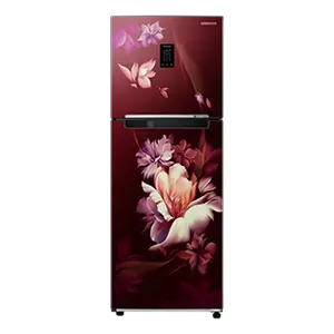Samsung 291L Curd Maestro™ Double Door Refrigerator RT34C4622RZ Midnight Blossom Red