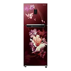 Samsung 291L Curd Maestro Double Door Refrigerator RT34C4622RZ Buy 291L Double Door Fridge RT34C4622RZ 