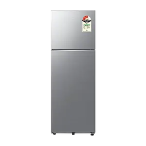 Samsung RT34HG5A23S8, Double Door Refrigerator with Bespoke AI 330 L Elegant Inox