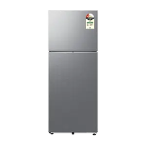 Samsung RT45HG6A22S8, Double Door Refrigerator with Bespoke AI 419 L Elegant Inox