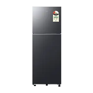 Samsung RT40H28U2F, Double Door Refrigerator with Convertible 236 L Black DOI