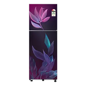 Samsung RT40H28U2PR, Double Door Refrigerator with Convertible 236 L Paradise Bloom Purple