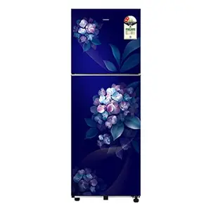 Samsung RT40H28W2HS, Double Door Refrigerator with All Around Cooling 236 L Hydrangea Blue