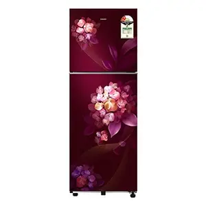 Samsung RT40H28W2HT, Double Door Refrigerator with All Around Cooling 236 L Hydrangea Plum