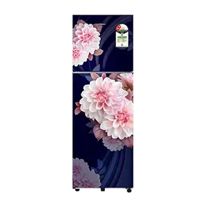 Samsung RT40H30U2BB, Double Door Refrigerator with Convertible Freezer 256 L Begonia Blue