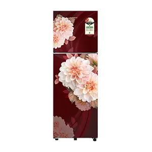 Samsung RT40H30U2BR, Double Door Refrigerator with Convertible Freezer 256 L Begonia Red