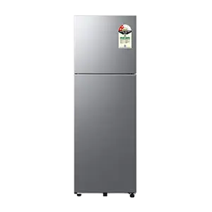 Samsung RT40H30U2P, Double Door Refrigerator with Convertible Freezer 256 L Elegant Inox