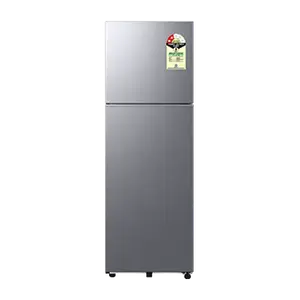 Samsung RT40H30U2P, Double Door Refrigerator with Convertible Freezer 256 L Elegant Inox