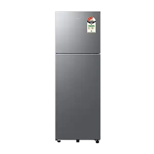 Samsung RT40H30U3T, Double Door Refrigerator with Convertible Freezer 256 L Refined Inox