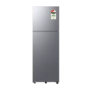 Samsung RT40H30U3P, Double Door Refrigerator with Convertible Freezer 256 L Elegant Inox