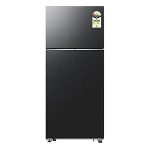 Samsung RT56HG7A61B1, Double Door Refrigerator with Bespoke AI 530 L Black Doi