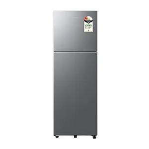 Samsung RT80H30U2T, Double Door Refrigerator with Bespoke AI 256 L Refined Inox