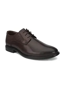 pelle albero Men Brown Solid Formal Derbys PA-BI-8576_Brown