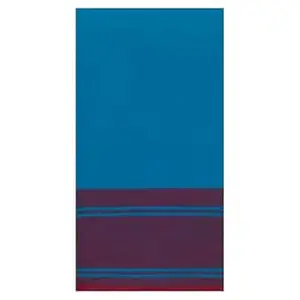 Nritya Handlooms Bharatanatyam And Kuchipudi Dance Practice sarees (Sky Blue WIth Red Colour Plain Border)