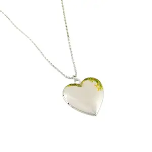 Vientiq Silver-Plated Heart Locket Pendant Chain Necklace for Women & Girls