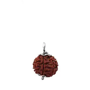 पांच मुखी 5 Mukhi Rudraksha Pendant Nepali Pashupati Nath Certified card