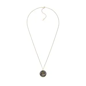 Fossil Jewelry Gold Necklace JF04847710