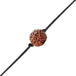 Vivastri Real Rudraksha Rakhi - [VIVA1232RKG]
