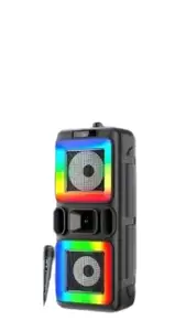 Beast 1200 Bluetooth Speaker: Karaoke Mic, RGB Lights, 14W