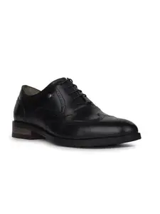 Hush Puppies Men Formal Oxford Shoes - Black (9 UK)