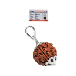 REBUY 5 Mukhi Rudraksha Pendant Lab Certified Nepali Five Mukhi Original Certified Rudraksha Pendant with Red Thread for Men and Women, Origin Nepal, Color Brown