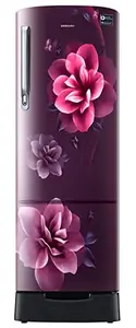 Samsung 246L 3 Star Inverter Direct-Cool Single Door Refrigerator Appliance (RR26C3893CR/HL,Camellia Purple) Base Stand Drawer 2023 Model price in India.