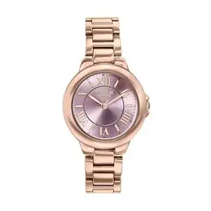 Sonata Poze 8 Quartz Analog with Pink Dial Rose Gold Alloy Strap Watch for Women - SP80158WM01W