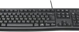 Plug and Play USB Keyboard K120, Black for Pc