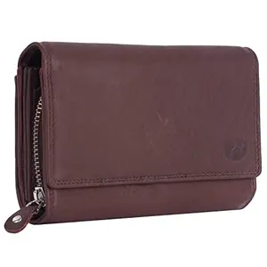 Delfin Genuine Leather | Multi Compartment Ladies Wallet (Brown)