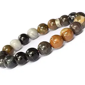 The Allegaince Petrifiedwood Bracelet 10 mm Bead Size Natural Reiki Feng-Shui Crystal Healing Gem Stone Women Men Girls Gifts