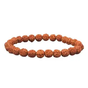 Rare-GEMS Panchmukhi Rudraksha Precious Bead 5 Mukhi Rudraksha Bracelet Original Certified Five 5 Face Rudraksha Hand Band Five Mukhi Panch Mukhi Rudraksha Band 5 मुखी रुद्राक्ष ब्रेसलेट
