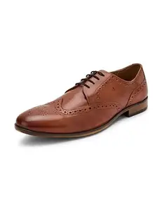 Arrow Men's ALVERSTONE TAN Leather LACE UP-10 UK (2FA21445K06)