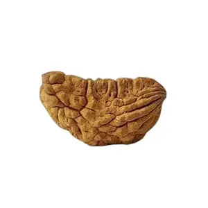 Hdbg 1 Mukhi Kaju Dana Rudraksha Original Certified Ek Mukhi Rudraksha Nepali Beads एक मुखी रुद्राक्ष ओरिजनल काजू दाना रुद्राक्ष Precious Brown Color Ekamukhi Rudraksha Pendant For Men & Women