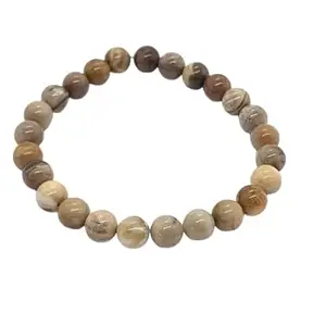 GEMFINITY Superlative Petrified Wood Bracelet Original Certified Stretchable Elastic Petrified Wood Crystal Bracelet Wrist Band Petrifieds Woods Healing Bracelets For Chanting