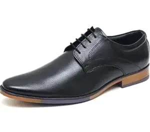 ARAMISH Men's Genuine Leather Lace Up Office Formal Shoes