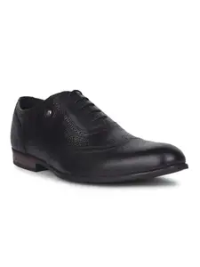 Hush Puppies 8356 Amory Oxford Black Formal Oxford Style Shoes for Men|PR Sole |Perfect for Office | Casual wear| Meeting| Party| Business All-Day Comfort| Lightweight. Size- 11