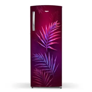 Whirlpool 274 L Direct Cool Single Door 3 Star Refrigerator (Wine Palm, 305 IMPRO PLUS PRM 3S WINE PALM-Z)