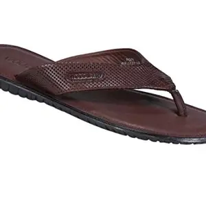 Woodland Men's Coffee Leather Slipper-10 UK/India (44 EU) (GP 2137116)