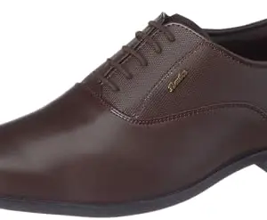 BATA Men's Ossan E Formal Oxfords (8314053_Brown_8 UK)
